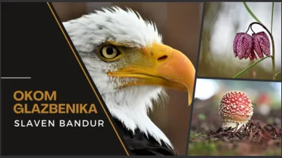 Foto: Narodna knjižnica "Petar Preradović" Bjelovar