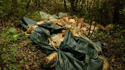 Foto: Marko Mi&scaron;čević/CROPIX (ilustracija)