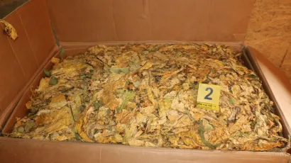 Pronađeni duhan/ Foto: PU bjelovarsko-bilogorska