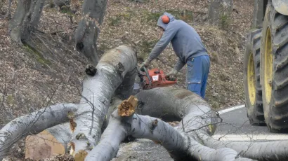 Foto: Darko Toma&scaron;/CROPIX (ilustracija)