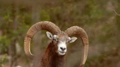 Foto: Mario Todoric/CROPIX (ilustracija)<br>