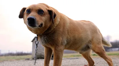 Foto: Damir Krajac/CROPIX (ilustracija) 