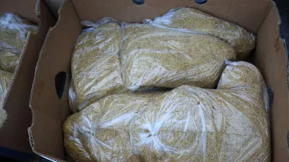 Foto: Vlado Kos/CROPIX (ilustracija)