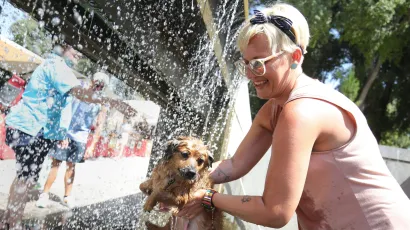 Foto: Duje Klarić/CROPIX