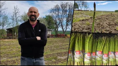 Vijest da se Marinko vi&scaron;e neće baviti &scaron;parogama rastužila je mnoge/Foto: Martina Čapo/MojPortal.hr