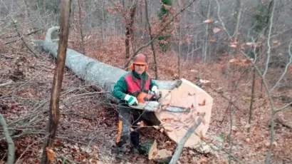 Tragično preminuli Nikola Đorđević/Foto: Facebook