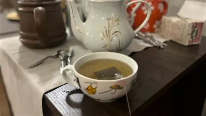 Foto: Ivan Ga&scaron;par/MojPortal.hr