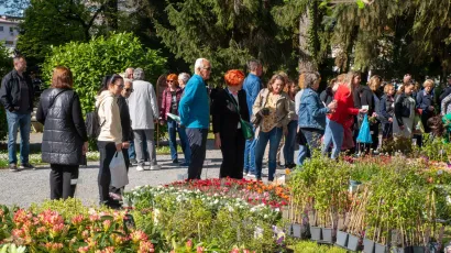 Foto: Predrag Uskoković/Grad Daruvar