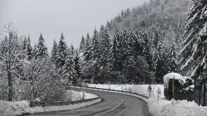 Foto: Ivana Nobilo/CROPIX