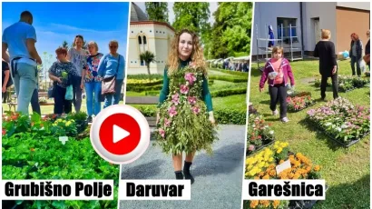 Foto: Nikica Puhalo/MojPortal.hr