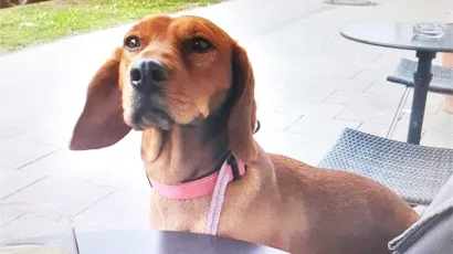 Foto: PU pože&scaron;ko-slavonska