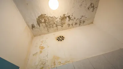 Zvonimir Barisin/CROPIX (ilustracija)