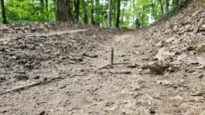 Izrazito opasne zamke/Foto: Čitatelj