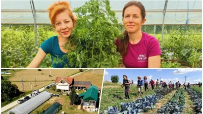 Foto: OPG Ivana Košćak
