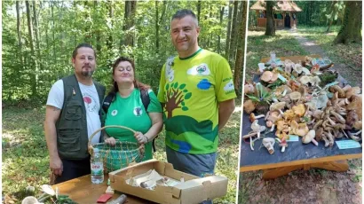 Foto: Udruga Lipa