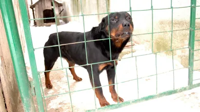 Foto: Željko Hajdinjak/CROPIX (Ilustracija)