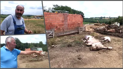 Stravični prizori nakon jučera&scaron;nje pijavice/Foto: Slavica Trgovac Martan