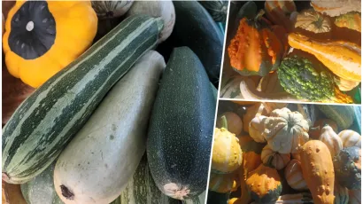 Foto: Kristina Nehvatal