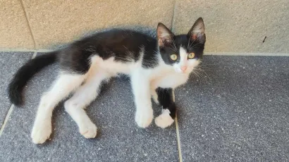 Foto: Privatni album