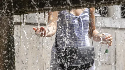 Foto: Nikola Brboleza/CROPIX