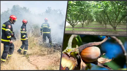Foto: Tomislav Kristo/CROPIX, Danijela Peracic/CROPIX, Privatni album, (Ilustracija)