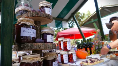 Foto: Nikica Puhalo/MojPortal.hr