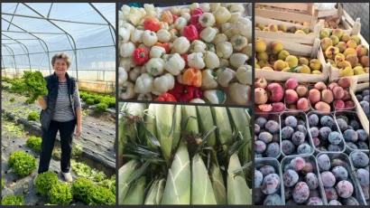 Foto: Privatni album