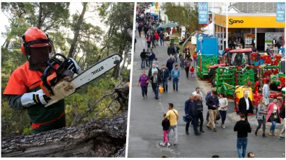 Foto: Ivo Ravlic/CROPIX