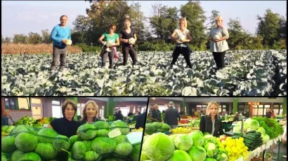 Foto: Gradska tržnica Daruvar i Privatni album