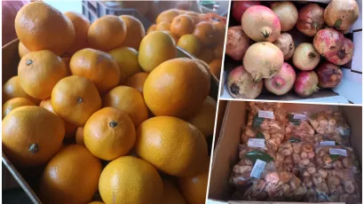 Foto: Kristina Nehvatal