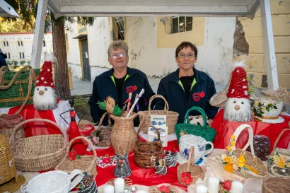 Foto: Predrag Uskoković/Grad Daruvar