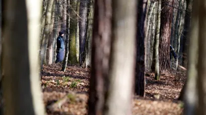 Foto: Zeljko Hajdinjak/Cropix (ilustracija) 