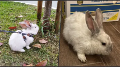 Foto: Privatni album