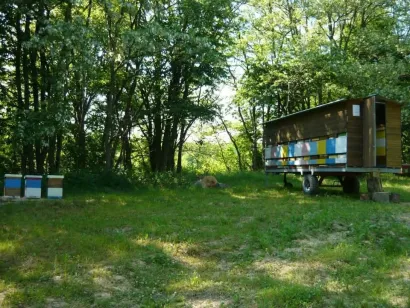 Mobilni pčelinjak