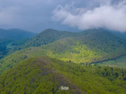Foto: Štefan Brajković