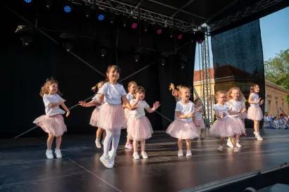 Foto: Predrag Uskoković/Grad Daruvar