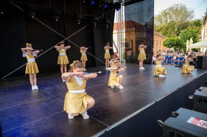 Foto: Predrag Uskoković/Grad Daruvar