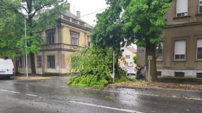 Srećom, u padu grana nitko nije stradao/Foto: Slavica Trgovac Martan
