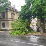 Srećom, u padu grana nitko nije stradao/Foto: Slavica Trgovac Martan