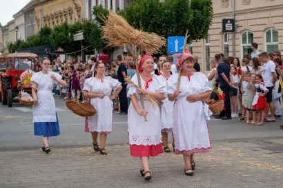 Foto: Predrag Uskoković/Grad Daruvar