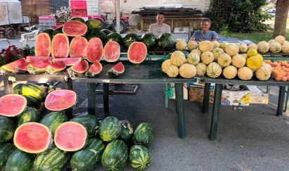 Foto: Gradska tržnica Daruvar