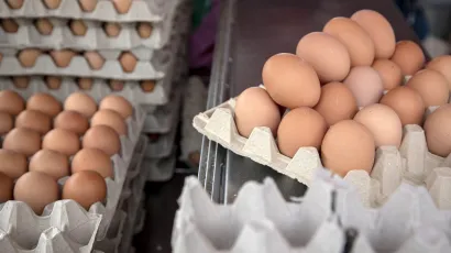 Foto: Berislava Picek/CROPIX (Ilustracija)