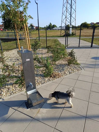 Foto: KruGarešnica