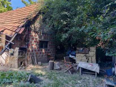 Foto: Martina Čapo