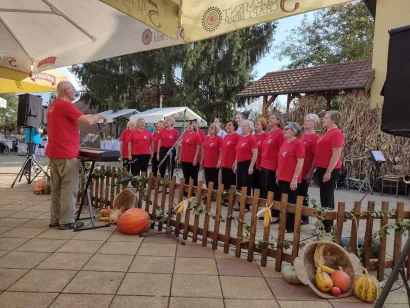 U planu je i bogat kulturni program/Foto: Češka beseda Dežanovac