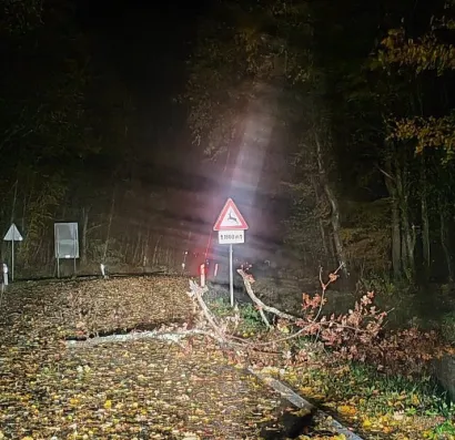 Foto: Čitatelj