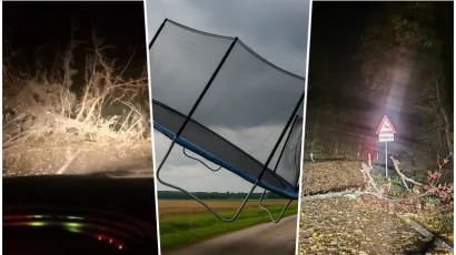 Foto: Čitatelj, AI