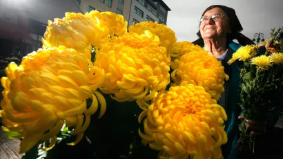 Foto: Damjan Tadić/CROPIX