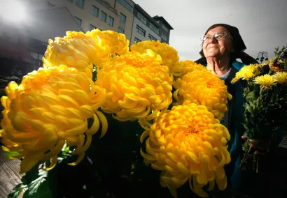 Foto: Damjan Tadić/CROPIX