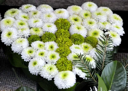 Foto: Srđan Vrančić/CROPIX